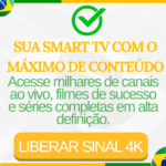 novos 1 (13)