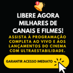 novos 1 (8)